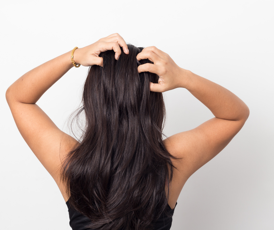 Phases of hair growth