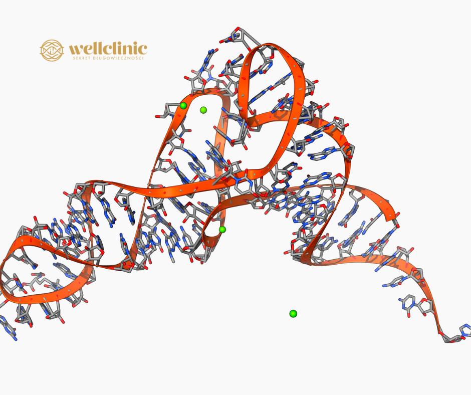 ASCE exosomes